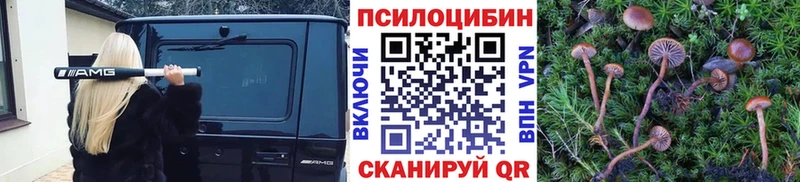 цена   Невьянск  Галлюциногенные грибы Psilocybe 